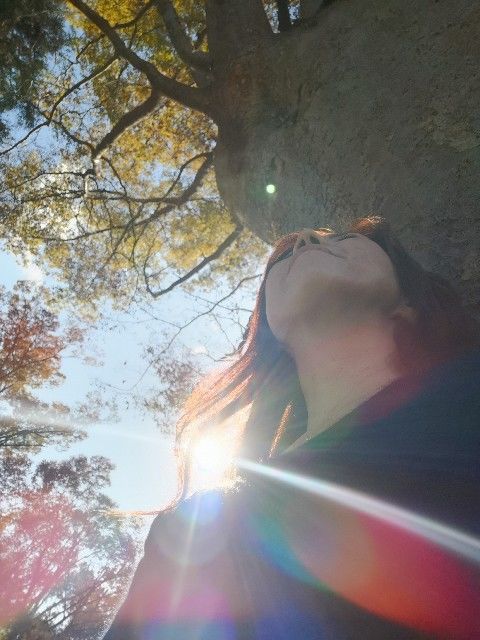 f:id:adagio-nijiiro:20191111232931j:image