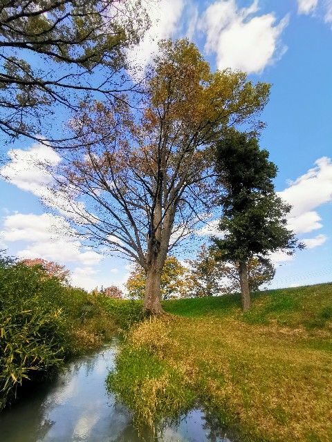 f:id:adagio-nijiiro:20191111233712j:image