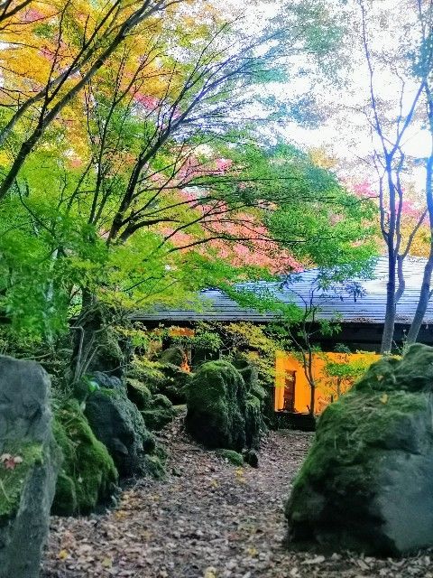 f:id:adagio-nijiiro:20191119132904j:image