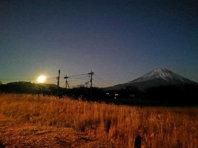 f:id:adagio-nijiiro:20191119140833j:image
