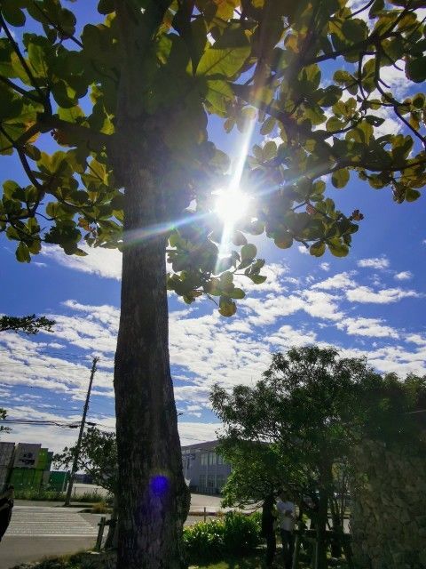 f:id:adagio-nijiiro:20191226003530j:image f:id:adagio-nijiiro:20191226003530j:image