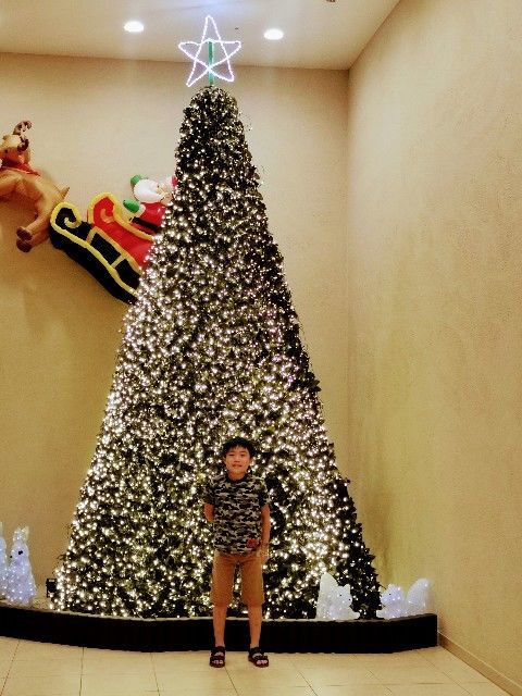 f:id:adagio-nijiiro:20191226010124j:image f:id:adagio-nijiiro:20191226010124j:image