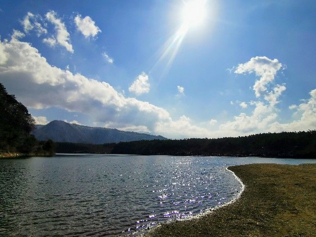 f:id:adagio-nijiiro:20200205221508j:image