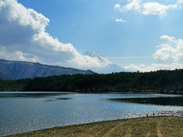 f:id:adagio-nijiiro:20200205222012j:image