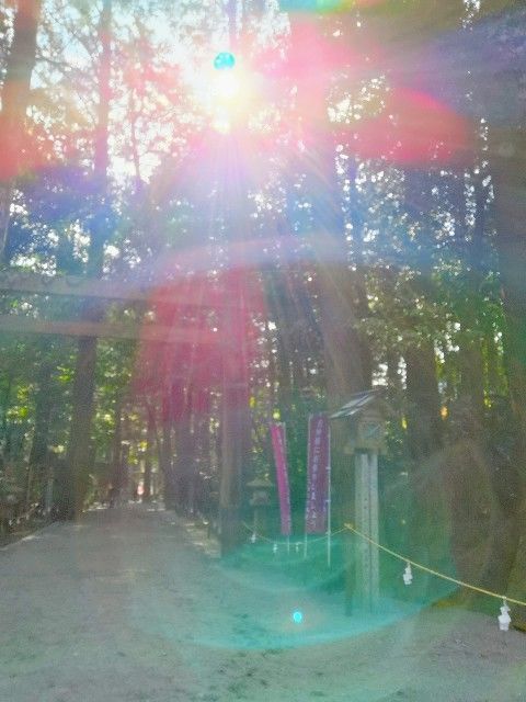 f:id:adagio-nijiiro:20200301110036j:image