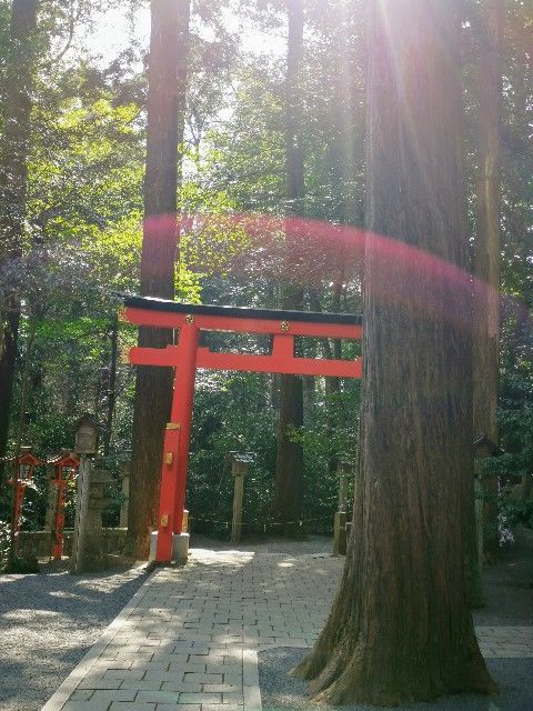 f:id:adagio-nijiiro:20200301185656j:image