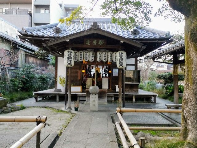 f:id:adagio-nijiiro:20200301200837j:image