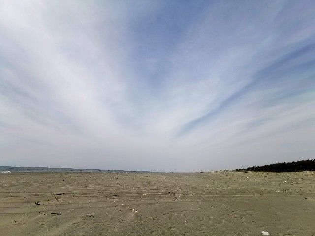 f:id:adagio-nijiiro:20200427222006j:image