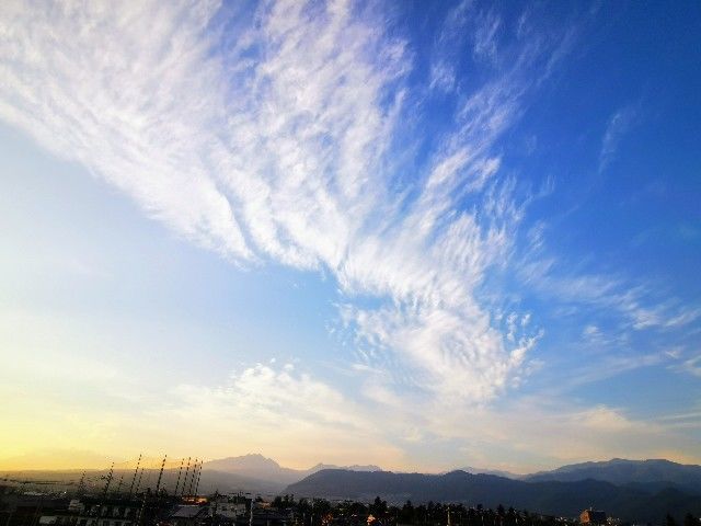f:id:adagio-nijiiro:20200616233646j:image f:id:adagio-nijiiro:20200616233646j:image