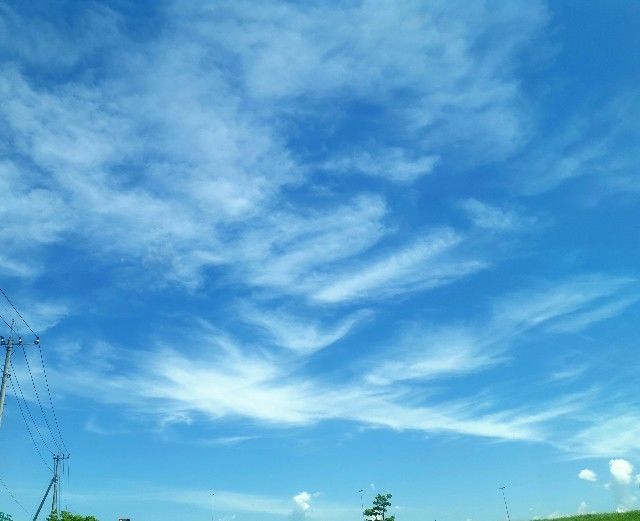 f:id:adagio-nijiiro:20200617000143j:image f:id:adagio-nijiiro:20200617000143j:image