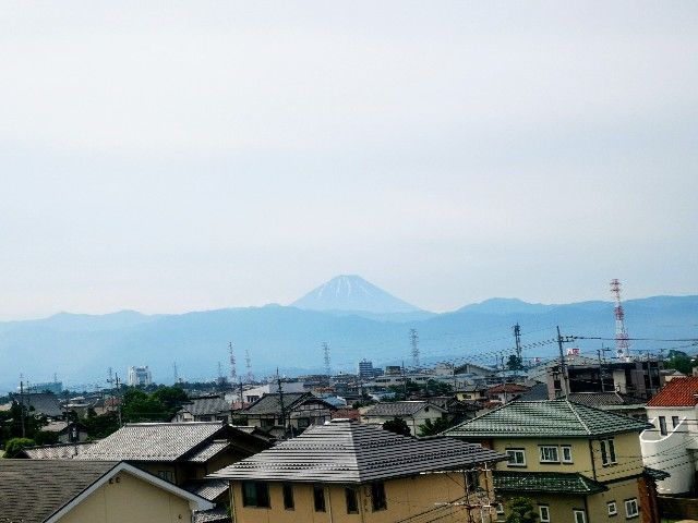 f:id:adagio-nijiiro:20200617000208j:image f:id:adagio-nijiiro:20200617000208j:image