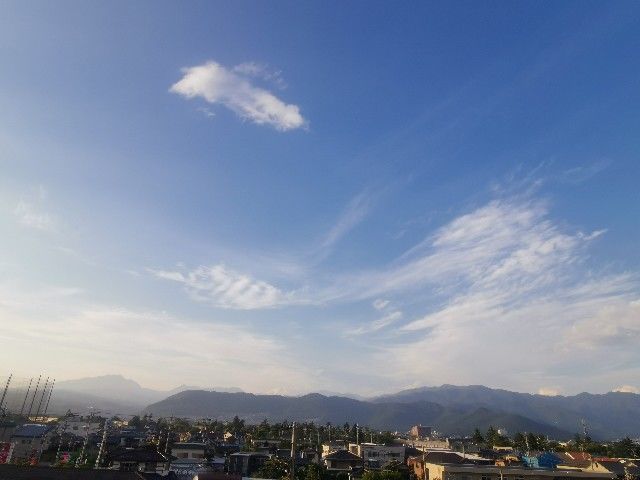 f:id:adagio-nijiiro:20200617001016j:image f:id:adagio-nijiiro:20200617001016j:image