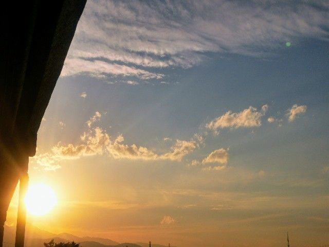 f:id:adagio-nijiiro:20200617001111j:image f:id:adagio-nijiiro:20200617001111j:image