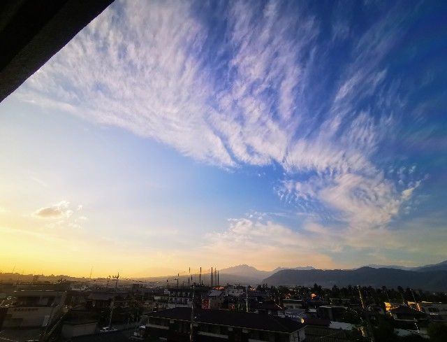 f:id:adagio-nijiiro:20200617001452j:image f:id:adagio-nijiiro:20200617001452j:image