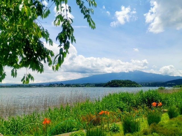 f:id:adagio-nijiiro:20200622211951j:image f:id:adagio-nijiiro:20200622211951j:image