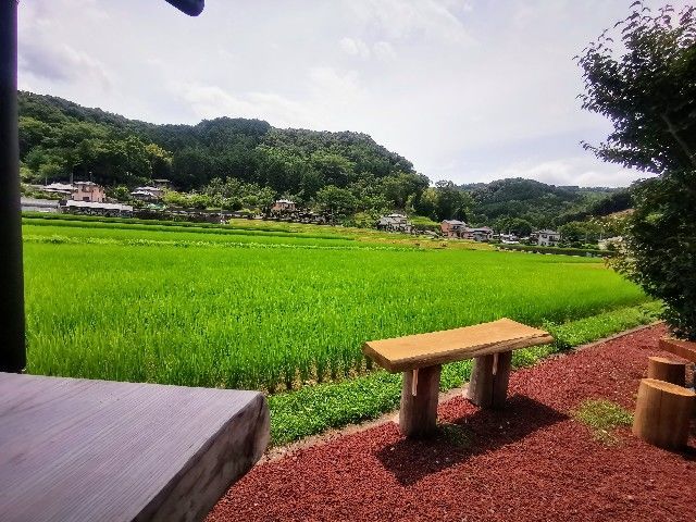 f:id:adagio-nijiiro:20200622235443j:image f:id:adagio-nijiiro:20200622235443j:image