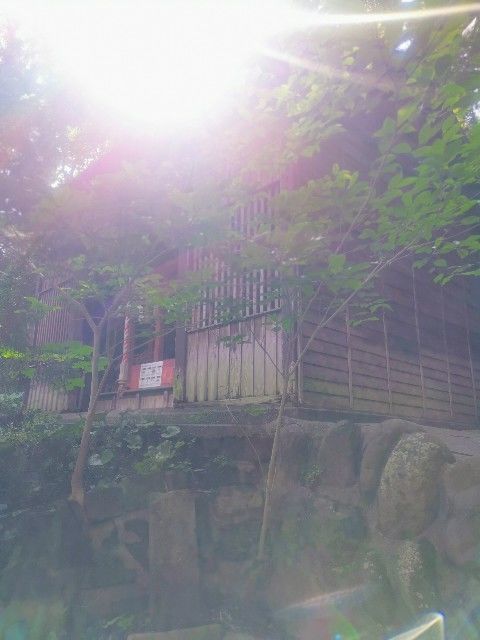 f:id:adagio-nijiiro:20200623000758j:image f:id:adagio-nijiiro:20200623000758j:image