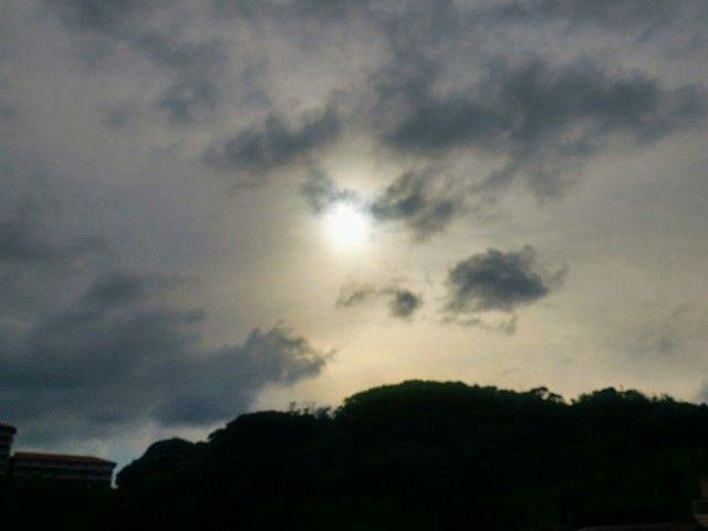 f:id:adagio-nijiiro:20200623003403j:image f:id:adagio-nijiiro:20200623003403j:image