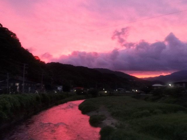 f:id:adagio-nijiiro:20200623010823j:image f:id:adagio-nijiiro:20200623010823j:image