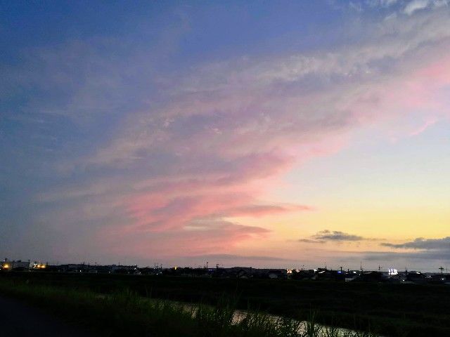 f:id:adagio-nijiiro:20200628201440j:image