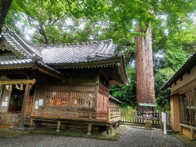 f:id:adagio-nijiiro:20200630215547j:image