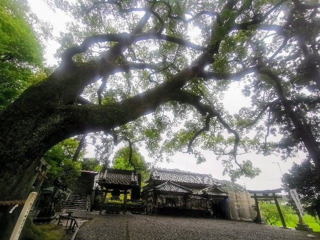 f:id:adagio-nijiiro:20200630215823j:image