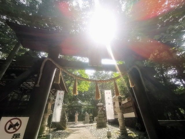 f:id:adagio-nijiiro:20200807001202j:image f:id:adagio-nijiiro:20200807001202j:image