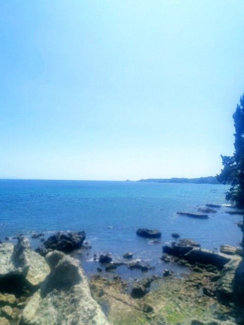 f:id:adagio-nijiiro:20200821115342j:image f:id:adagio-nijiiro:20200821115342j:image