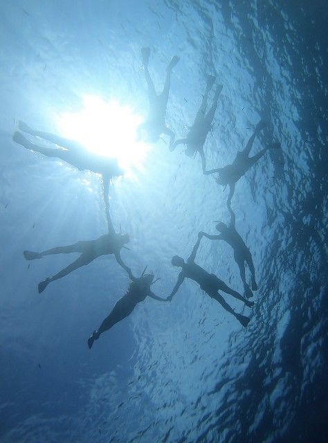 f:id:adagio-nijiiro:20200901224411j:image f:id:adagio-nijiiro:20200901224411j:image