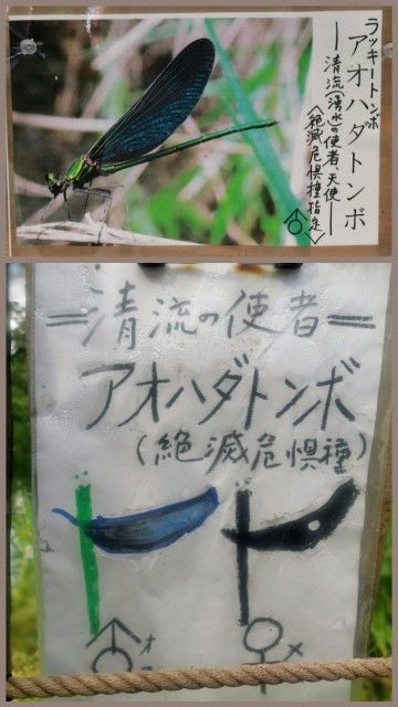 f:id:adagio-nijiiro:20200915150132j:image f:id:adagio-nijiiro:20200915150132j:image