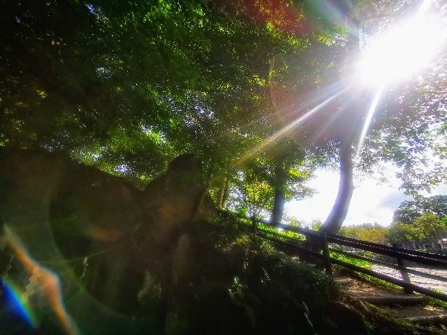 f:id:adagio-nijiiro:20200915151601j:image f:id:adagio-nijiiro:20200915151601j:image