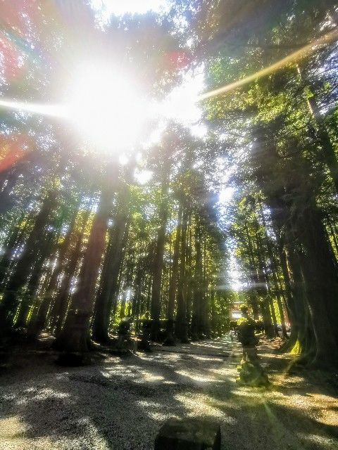 f:id:adagio-nijiiro:20200929134931j:image f:id:adagio-nijiiro:20200929134931j:image