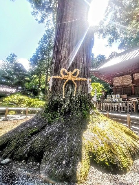 f:id:adagio-nijiiro:20200929145051j:image f:id:adagio-nijiiro:20200929145051j:image