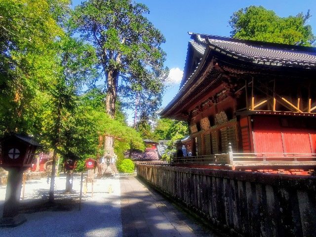 f:id:adagio-nijiiro:20200929145131j:image f:id:adagio-nijiiro:20200929145131j:image