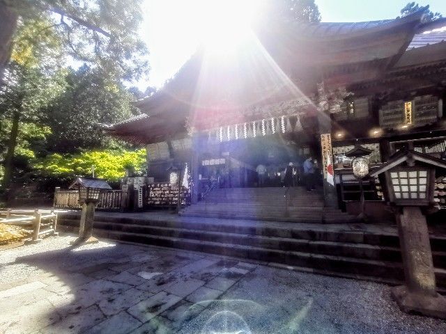 f:id:adagio-nijiiro:20200929145242j:image f:id:adagio-nijiiro:20200929145242j:image