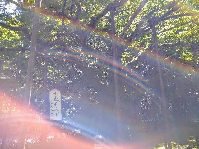 f:id:adagio-nijiiro:20200929145505j:image f:id:adagio-nijiiro:20200929145505j:image