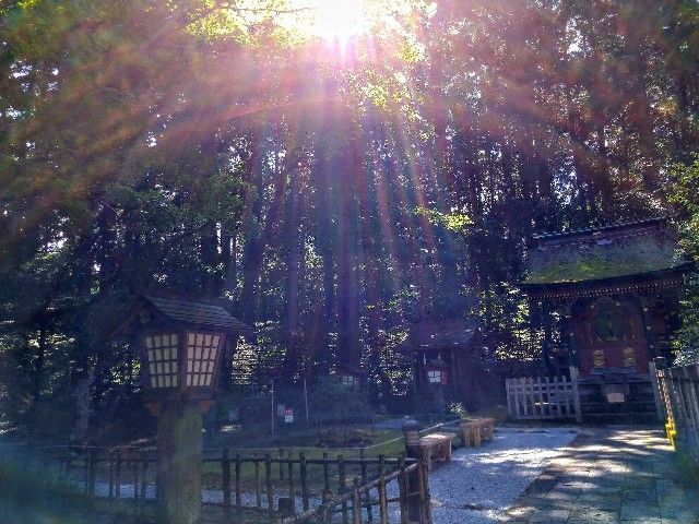 f:id:adagio-nijiiro:20200929145755j:image f:id:adagio-nijiiro:20200929145755j:image