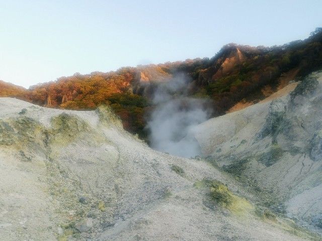 f:id:adagio-nijiiro:20201023104445j:image