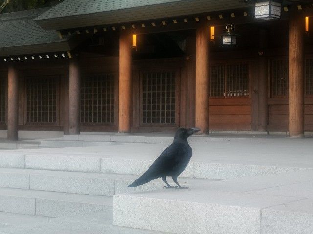 f:id:adagio-nijiiro:20201023110649j:image