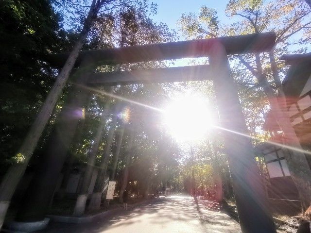 f:id:adagio-nijiiro:20201028072012j:image