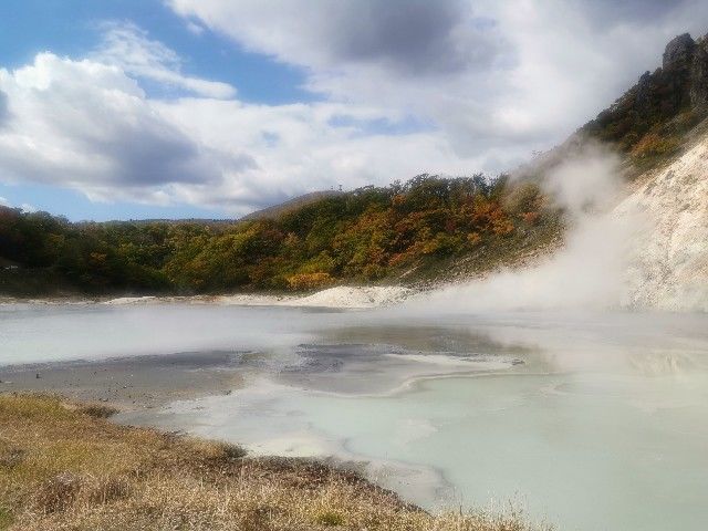 f:id:adagio-nijiiro:20201029112802j:image