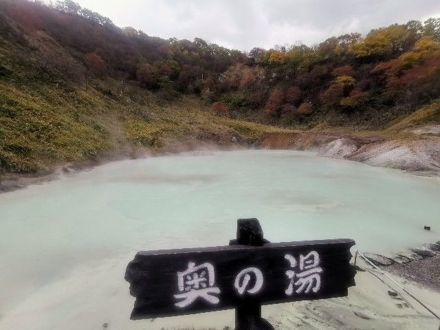 f:id:adagio-nijiiro:20201029113046j:image