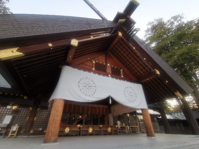 f:id:adagio-nijiiro:20201029114804j:image