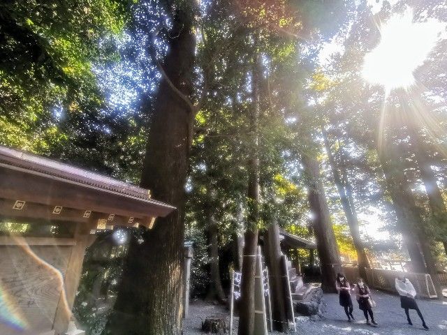 f:id:adagio-nijiiro:20201112172327j:image