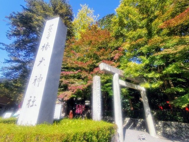 f:id:adagio-nijiiro:20201112223504j:image