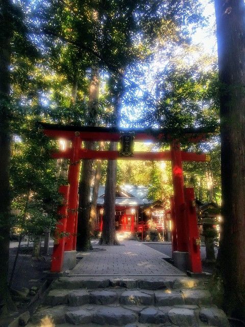 f:id:adagio-nijiiro:20201112235941j:image