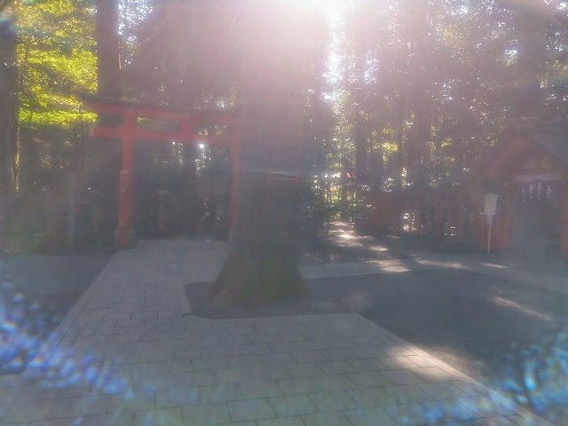 f:id:adagio-nijiiro:20201113000046j:image