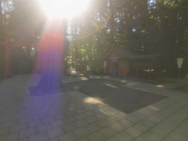 f:id:adagio-nijiiro:20201113000136j:image