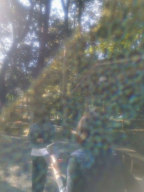 f:id:adagio-nijiiro:20201113001230j:image