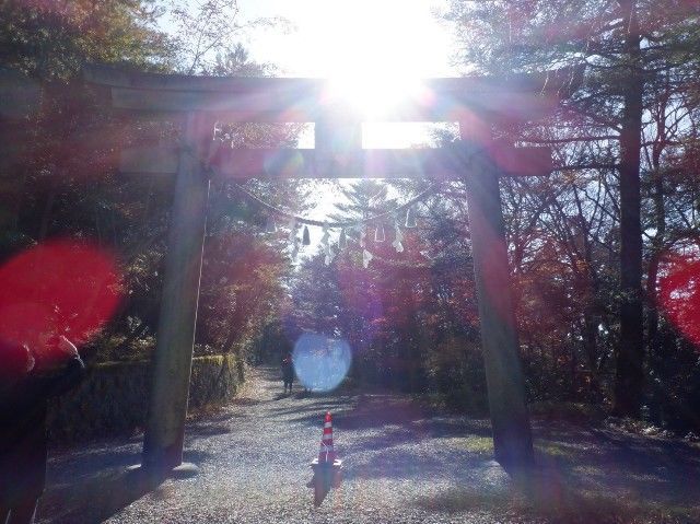 f:id:adagio-nijiiro:20201208124335j:image f:id:adagio-nijiiro:20201208124335j:image